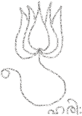Hari