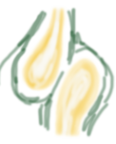 Stain